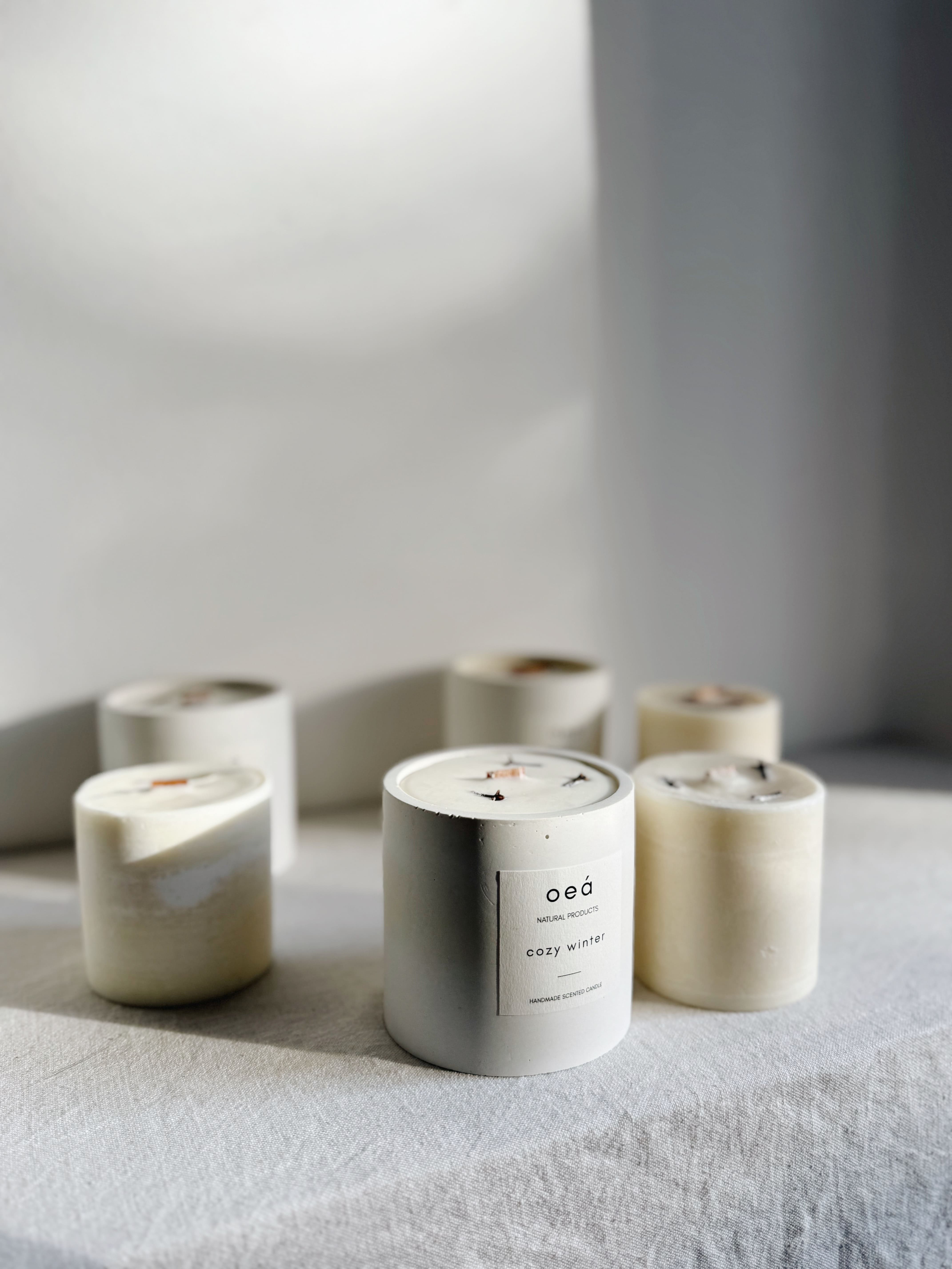 Nachfüllkerze „Cozy Winter“ – Winterduft für dein Betongefäß (240 g)
